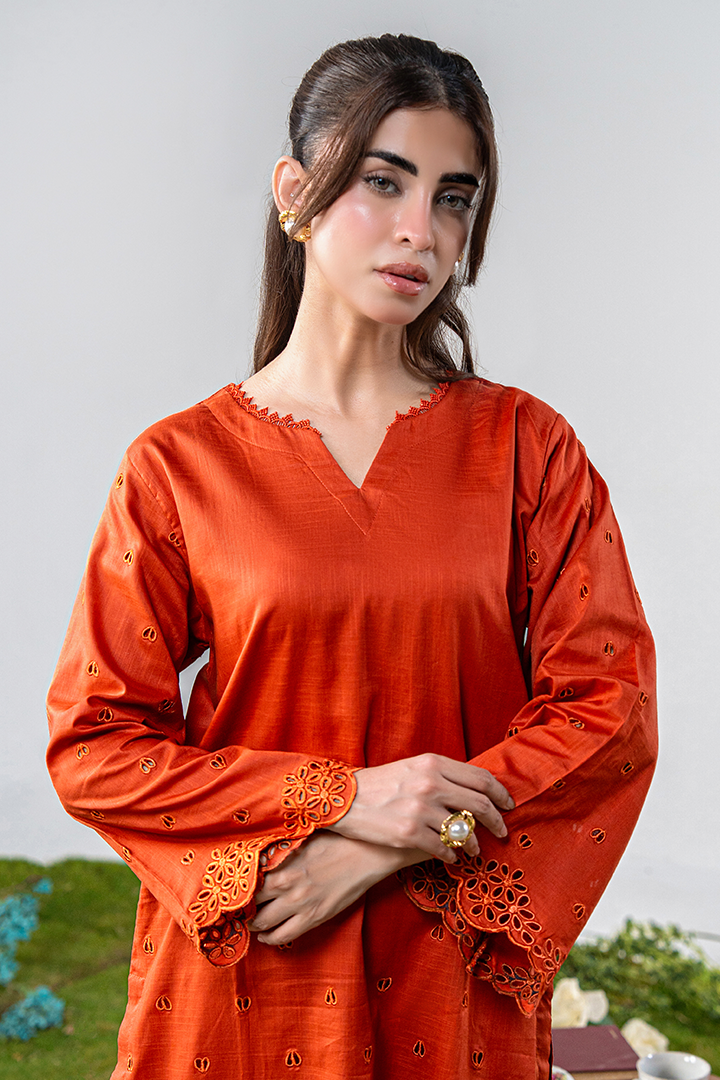 Autumn - Luna RTW Embroidered Lawn | 2pc